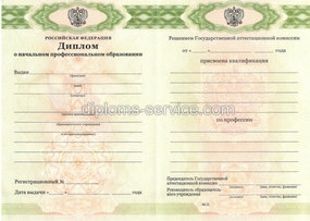 Диплом о начальном профессиональном образовании 2021 года