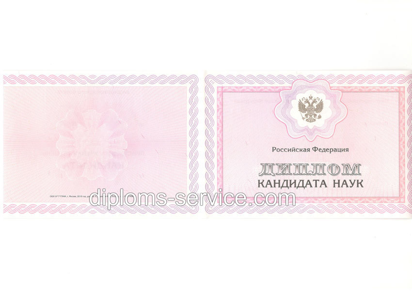Диплом кандидата наук 2010 годов-фото1