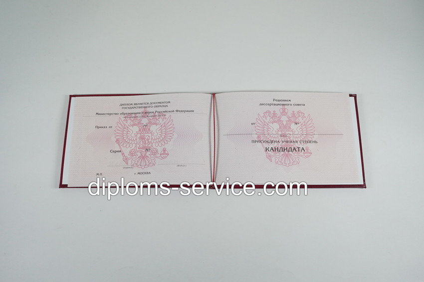 Диплом кандидата наук 2010 годов-фото2
