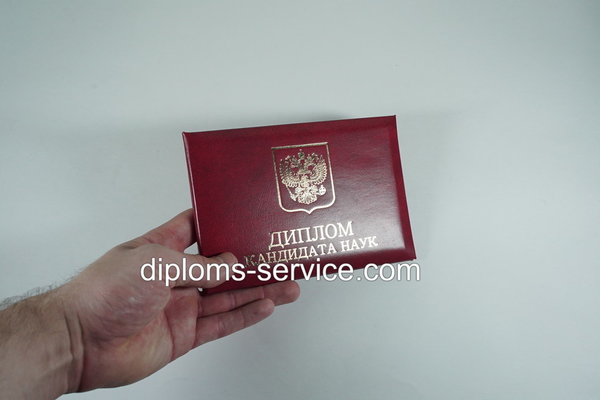 Диплом кандидата наук 2010 годов-фото4