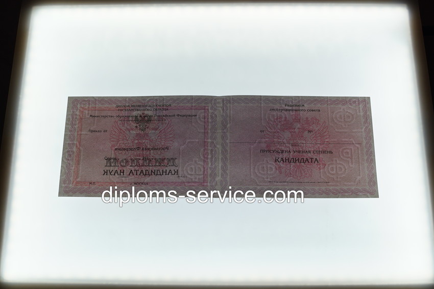 Диплом кандидата наук 2010 годов-фото5