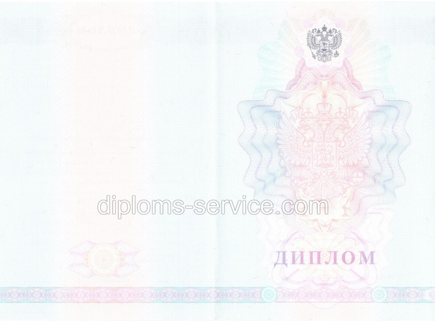 Диплом колледжа 2007-2010 годов-фото2