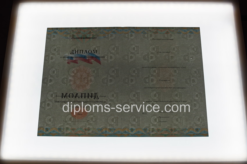 Диплом о переподготовке новейший-фото9