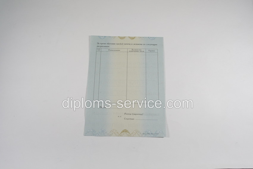Диплом о переподготовке старого образца-фото5