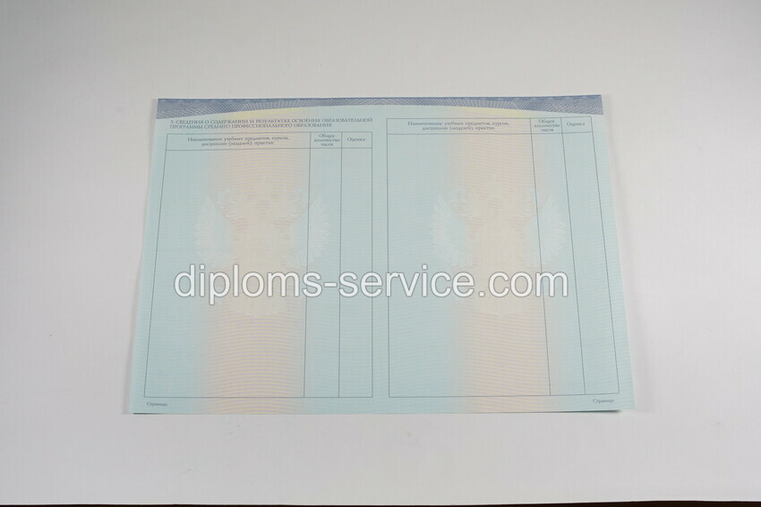 Диплом техникума (Спецбланк) 2014-2025 годов-фото7