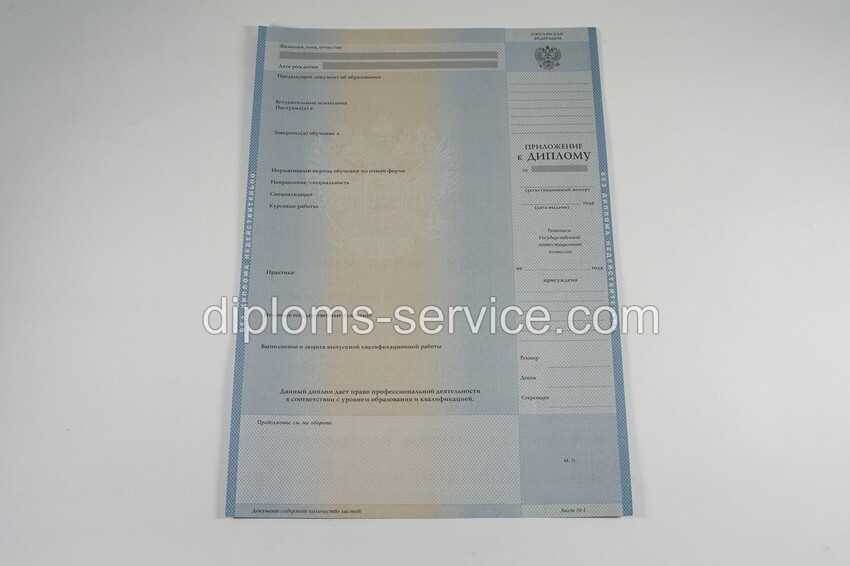 Диплом бакалавра 1997-2002 годов-фото2