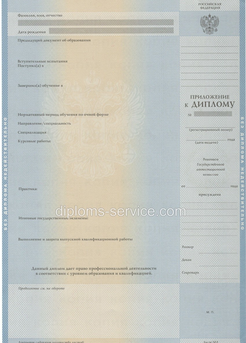 Диплом бакалавра 2003-2009 годов-фото3