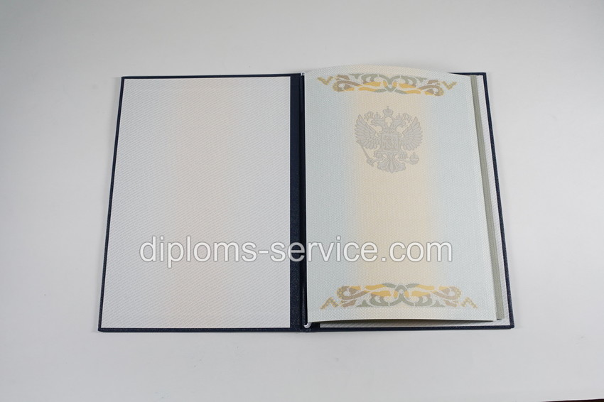 Диплом бакалавра 2003-2009 годов-фото5