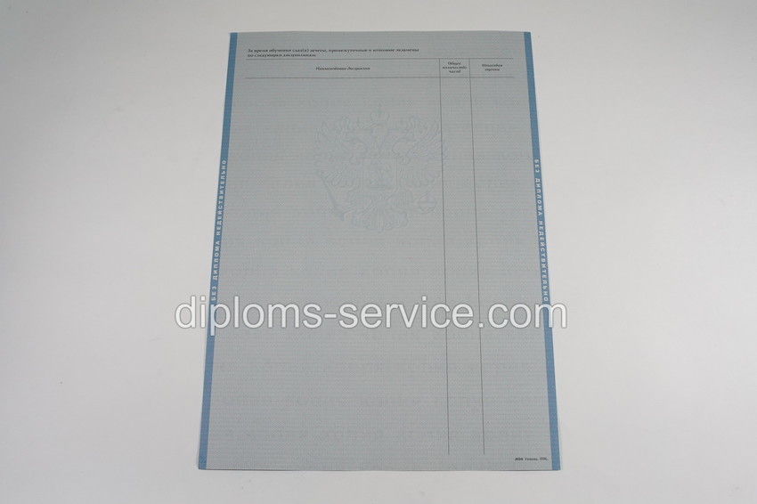 Диплом бакалавра 2003-2009 годов-фото8