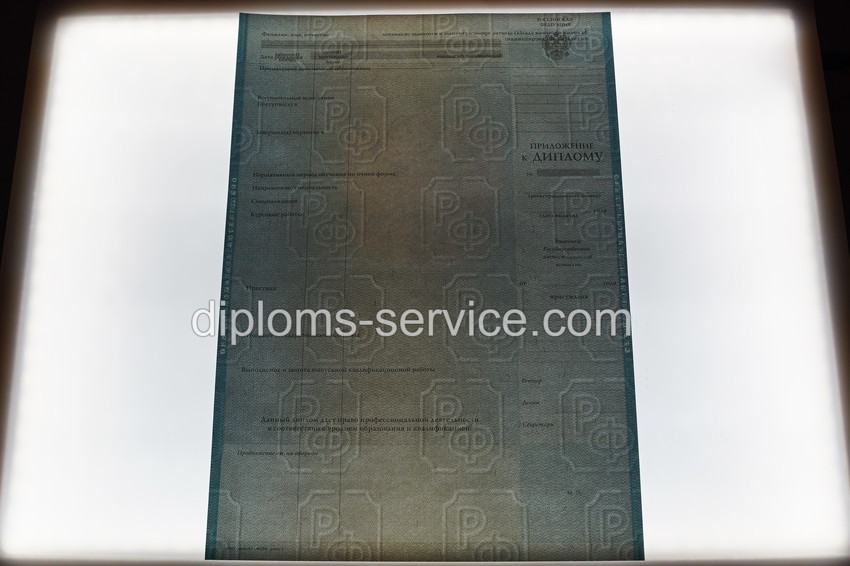 Диплом бакалавра 2010-2011 годов-фото10