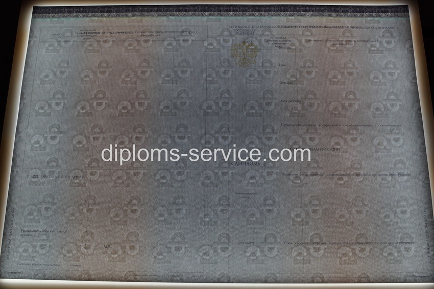 Диплом бакалавра 2014-2025 годов-фото10