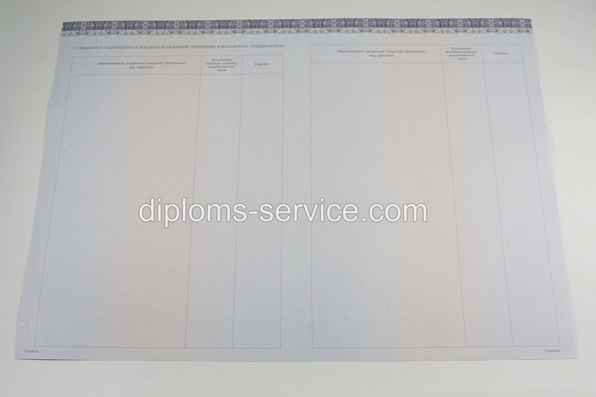Диплом бакалавра 2014-2025 годов-фото7