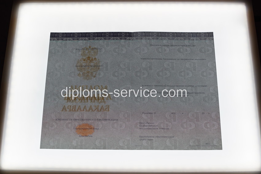 Диплом бакалавра 2014-2025 годов-фото9
