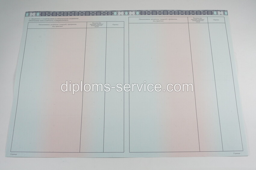 Диплом бакалавра 2014-2025 годов-фото7