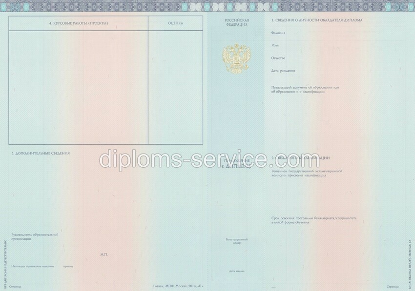 Диплом нового образца 2021 года-фото3