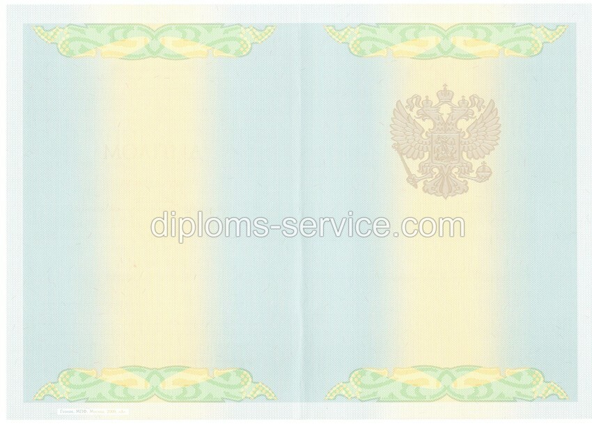 Диплом о высшем образовании 2011 года-фото2
