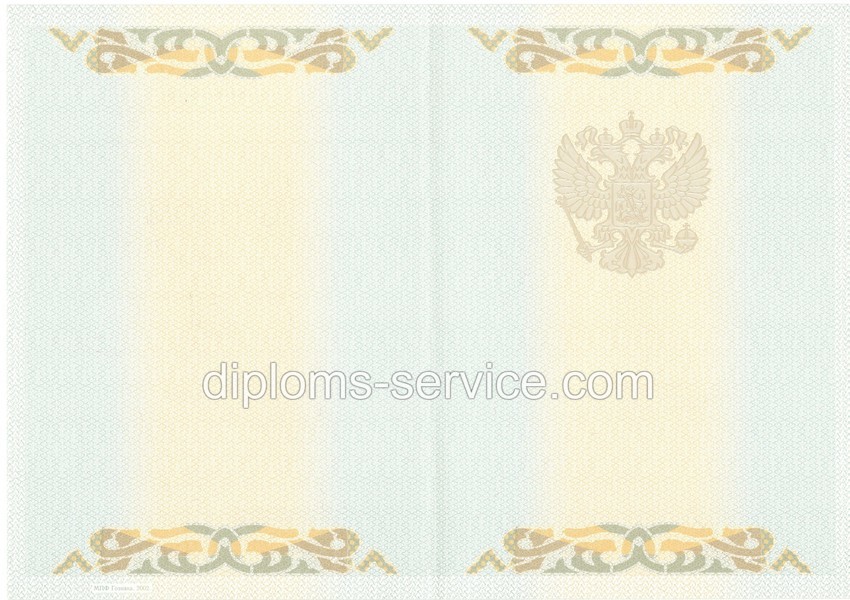 Диплом специалиста 2003-2009 годов-фото2