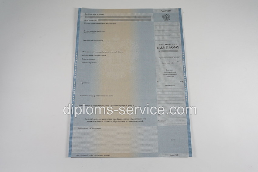 Диплом специалиста 2003-2009 годов-фото6