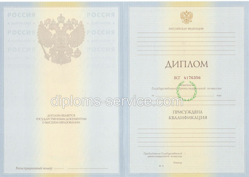Диплом специалиста 2010-2011 годов-фото1