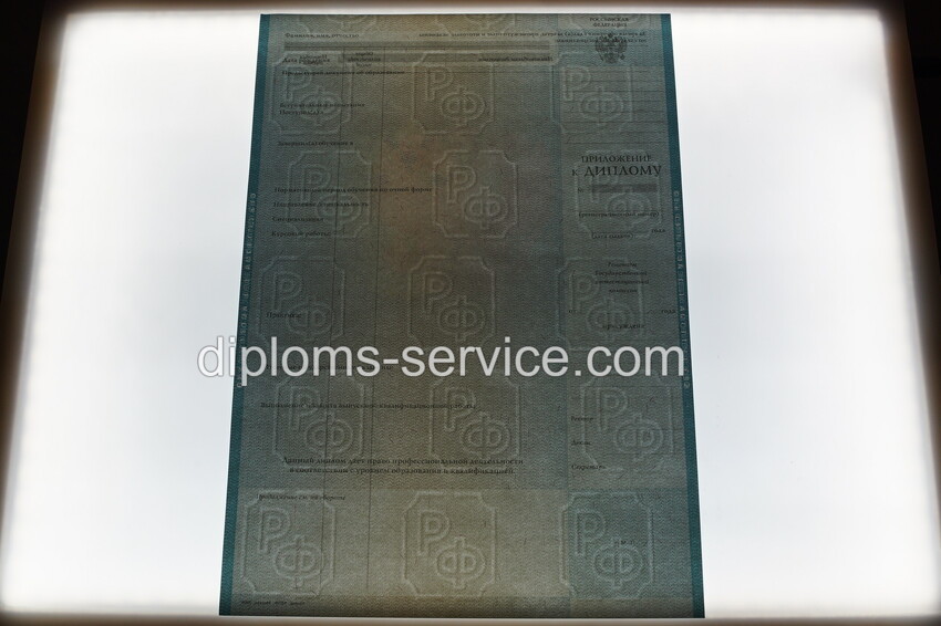 Диплом специалиста 2010-2011 годов-фото10