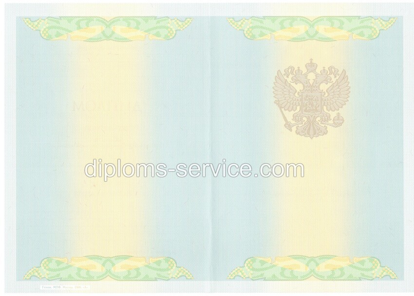 Диплом специалиста 2010-2011 годов-фото2