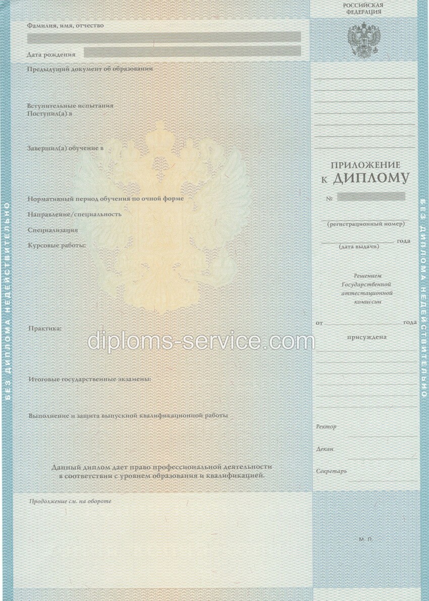 Диплом специалиста 2010-2011 годов-фото3