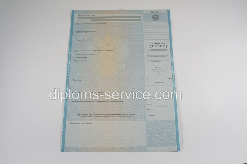 Диплом специалиста 2010-2011 годов-фото4