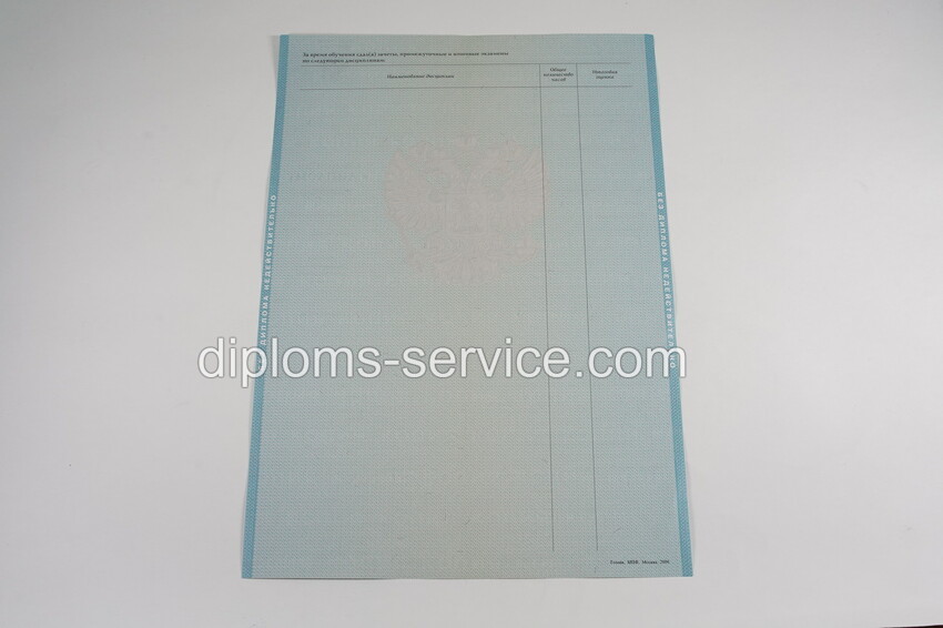 Диплом специалиста 2010-2011 годов-фото5
