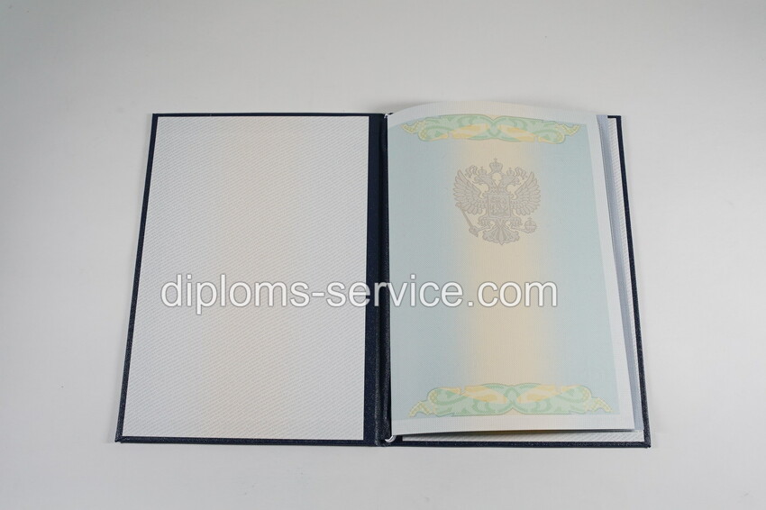 Диплом специалиста 2010-2011 годов-фото7