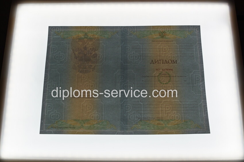Диплом специалиста 2010-2011 годов-фото9