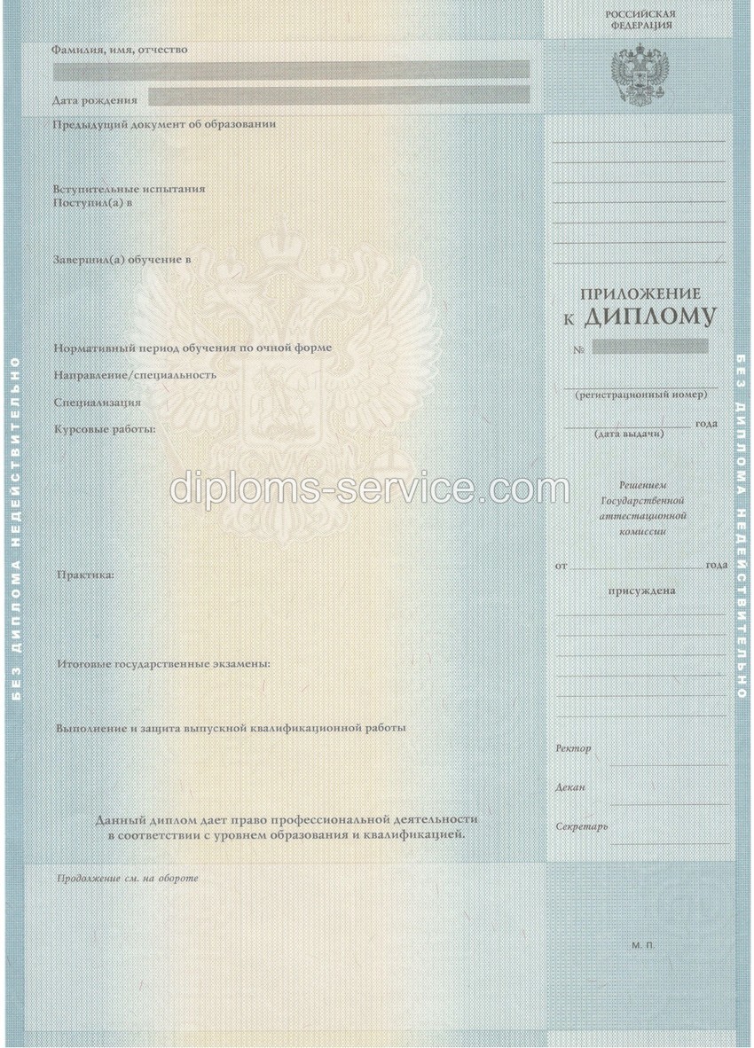 Диплом специалиста 2012-2013 годов-фото3