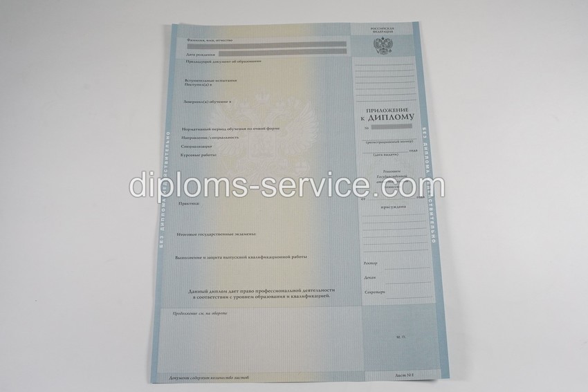 Диплом специалиста 2012-2013 годов-фото4