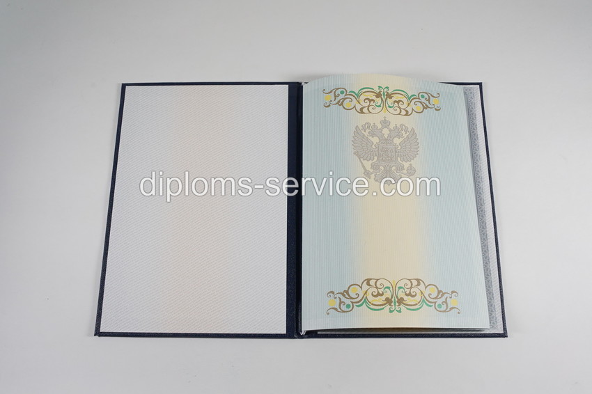 Диплом специалиста 2012-2013 годов-фото7