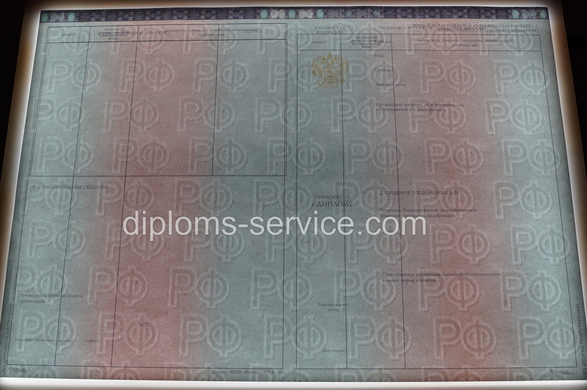Диплом специалиста 2014-2025 годов-фото10