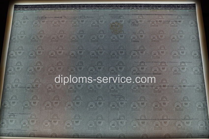 Диплом специалиста 2014-2025 годов-фото10