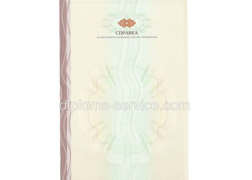 Справка об обучении -фото1