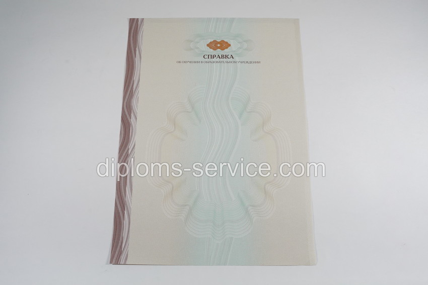 Справка об обучении -фото3