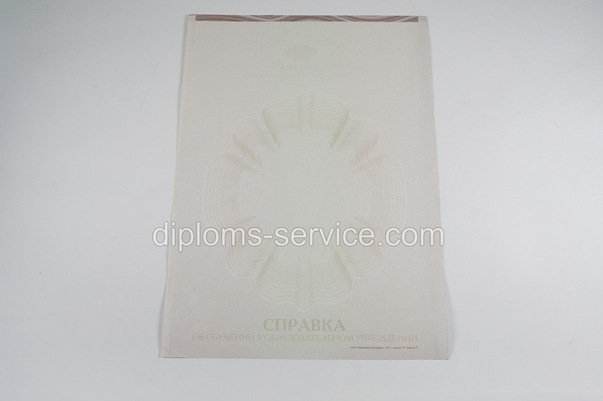 Справка об обучении -фото4