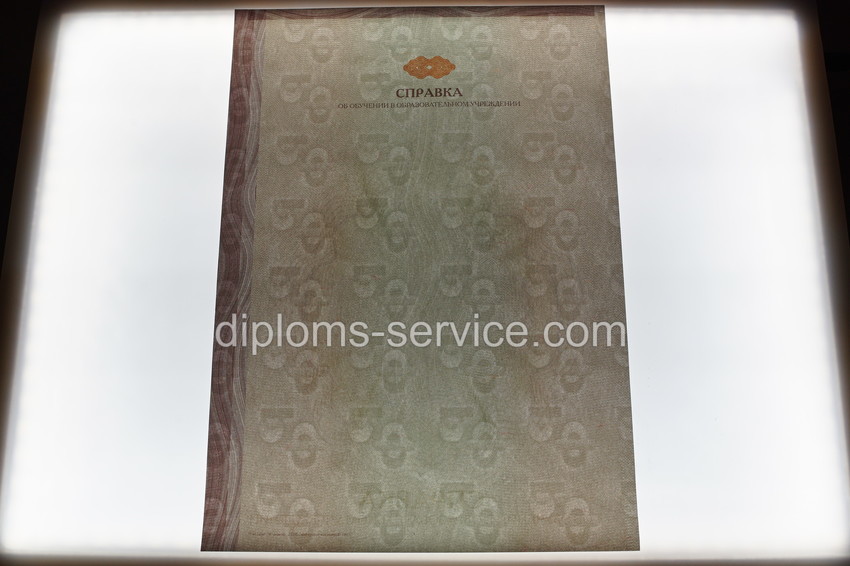 Справка об обучении -фото5